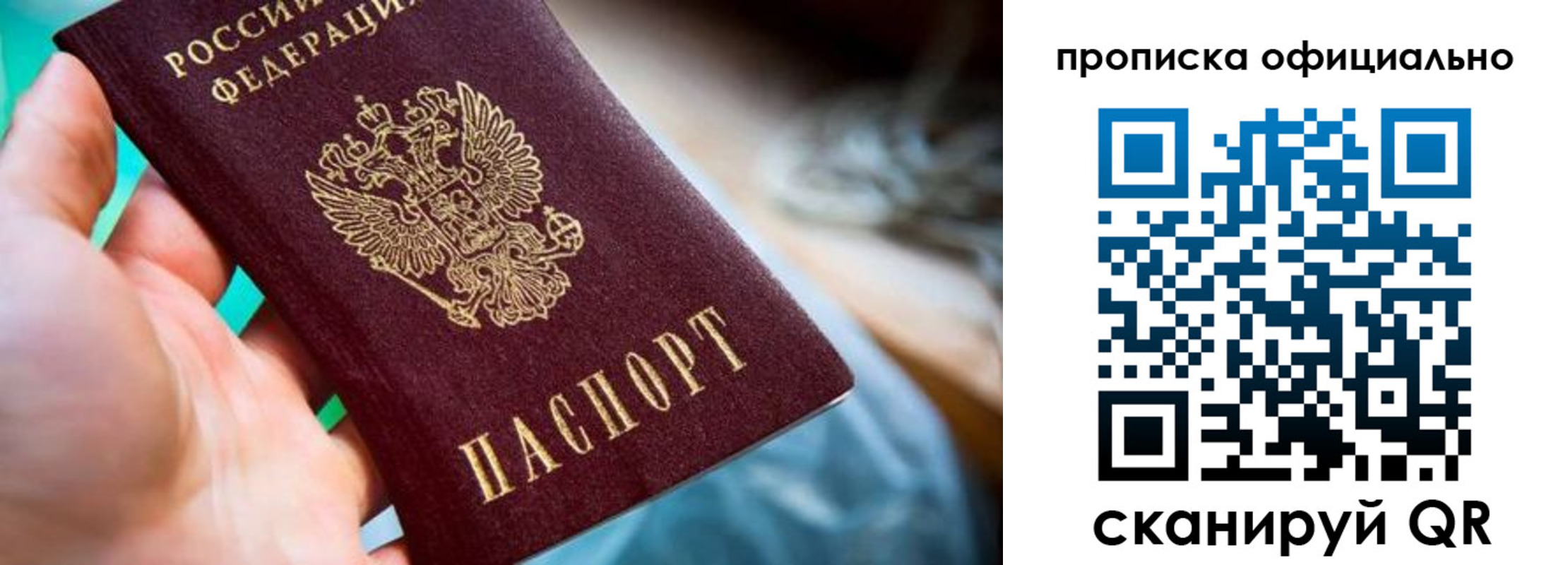 прописка поиск в Сланцах
